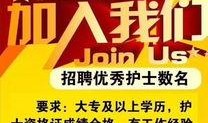 河北护士爆料最新消息,医院内部惊人真相揭露